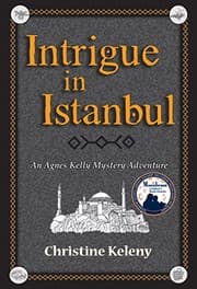 Tapa de Intrigue in Istanbul