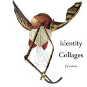 Tapa de Identity Collages