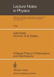 Tapa de A Gauge Theory of Dislocations and Disclinations