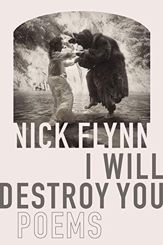Tapa de I Will Destroy You