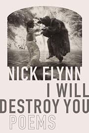 Tapa de I Will Destroy You