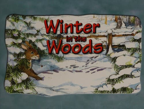 Tapa de Winter in the woods