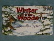 Tapa de Winter in the woods