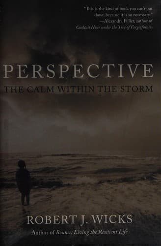 Tapa de Perspective