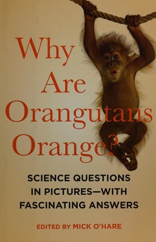 Tapa de Why are orangutans orange?