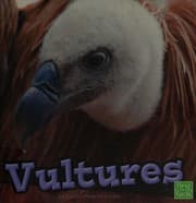 Tapa de Vultures