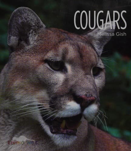 Tapa de Cougars