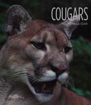 Tapa de Cougars