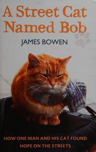 Tapa de A street cat named Bob