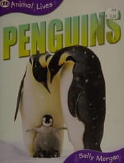 Tapa de Penguins
