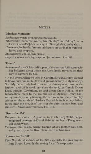 Tapa de Welsh Retrospective