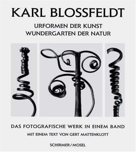 Tapa de Art Forms in Nature