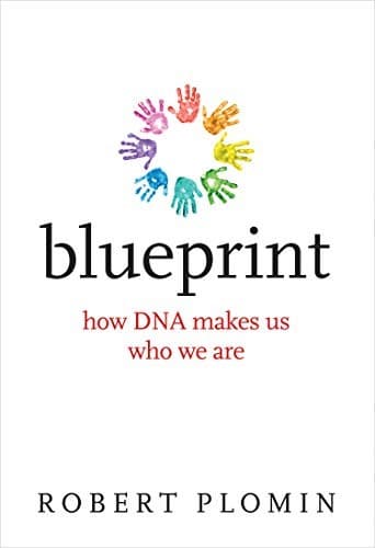 Tapa de Blueprint