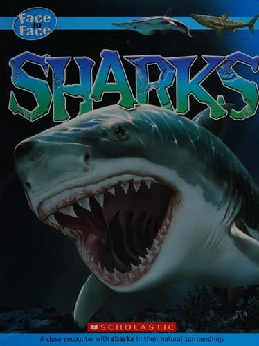 Tapa de Sharks