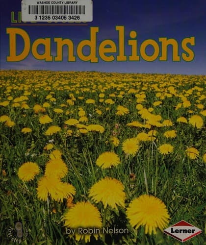 Tapa de Dandelions