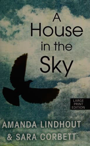Tapa de A house in the sky