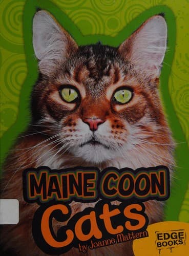 Tapa de Maine coon cats