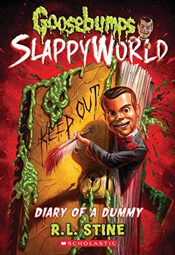 Tapa de Diary of a Dummy