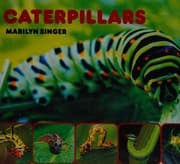 Tapa de Caterpillars