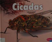Tapa de Cicadas