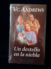 Tapa de Un destello en la niebla