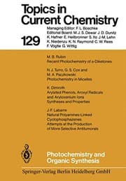Tapa de Photochemistry and Organic Synthesis