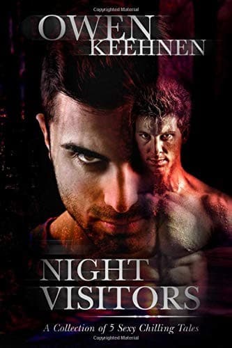 Tapa de Night Visitors
