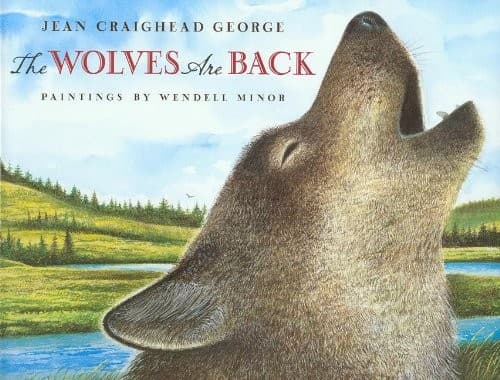 Tapa de Wolves Are Back, the