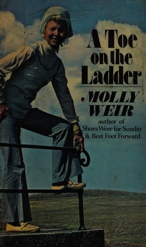 Tapa de A toe on the ladder