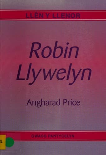 Tapa de Robin Llywelyn