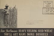 Tapa de Sow every acre of your wheat ground with new Hoffman seed wheat