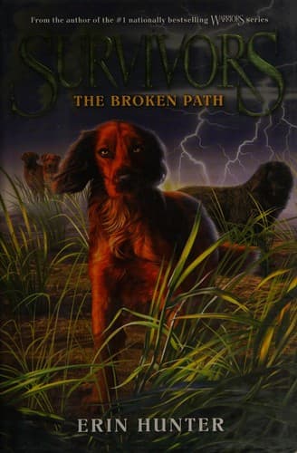 Tapa de The Broken Path