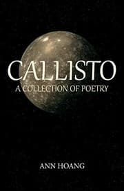 Tapa de Callisto