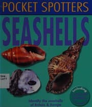 Tapa de Seashells