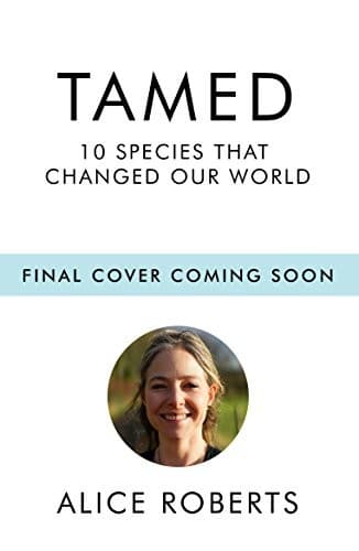 Tapa de Tamed