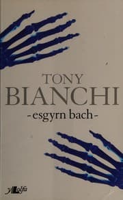 Tapa de Esgyrn bach