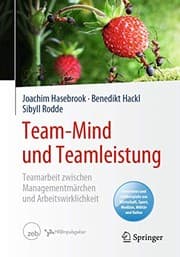 Tapa de Team-Mind und Teamleistung