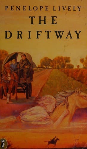 Tapa de The driftway
