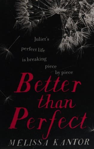 Tapa de Better than perfect