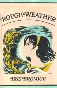 Tapa de Rough Weather