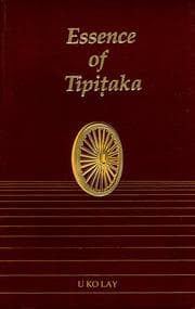 Tapa de Essence of Tipitika