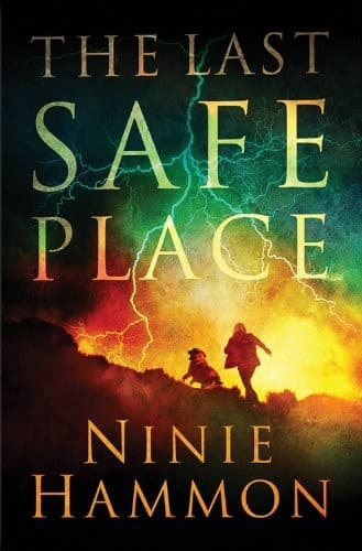 Tapa de The Last Safe Place