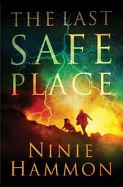 Tapa de The Last Safe Place