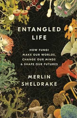 Tapa de Entangled Life