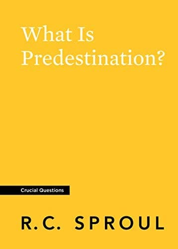 Tapa de What Is Predestination?
