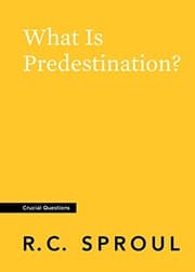 Tapa de What Is Predestination?