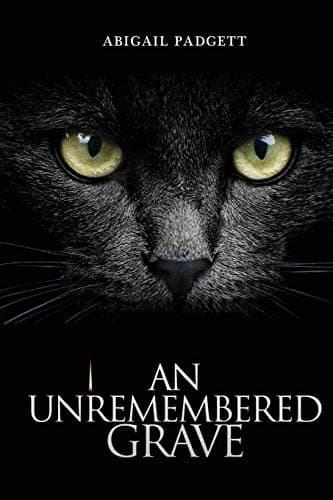 Tapa de An Unremembered Grave