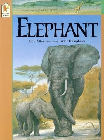 Tapa de Elephant