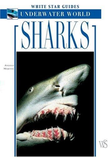 Tapa de Sharks