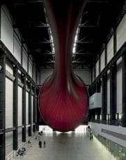 Tapa de Anish Kapoor